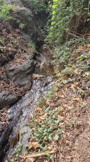 2024-01-GranCan-Barranco_de_los_Cernicalos-040.jpg